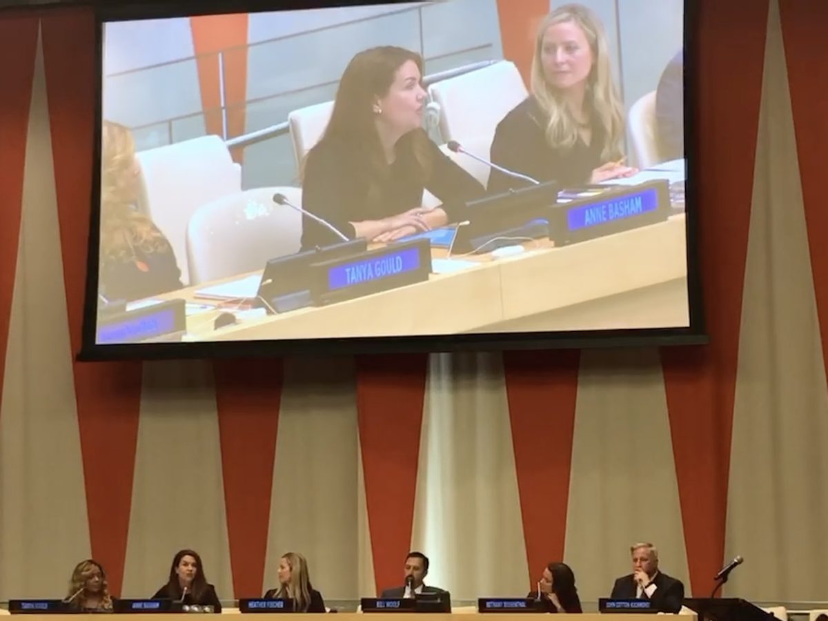 Anne at the United Nations, shown on a large screen
