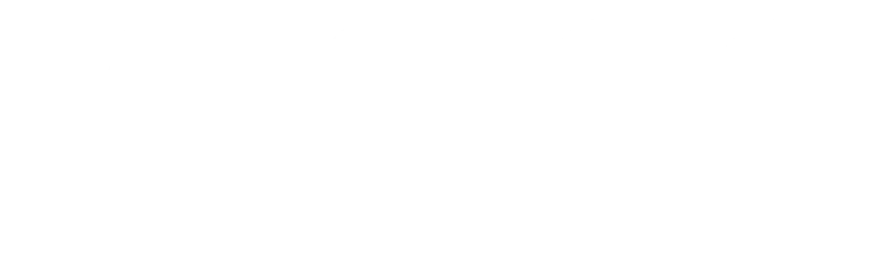 Anne Basham Logo White