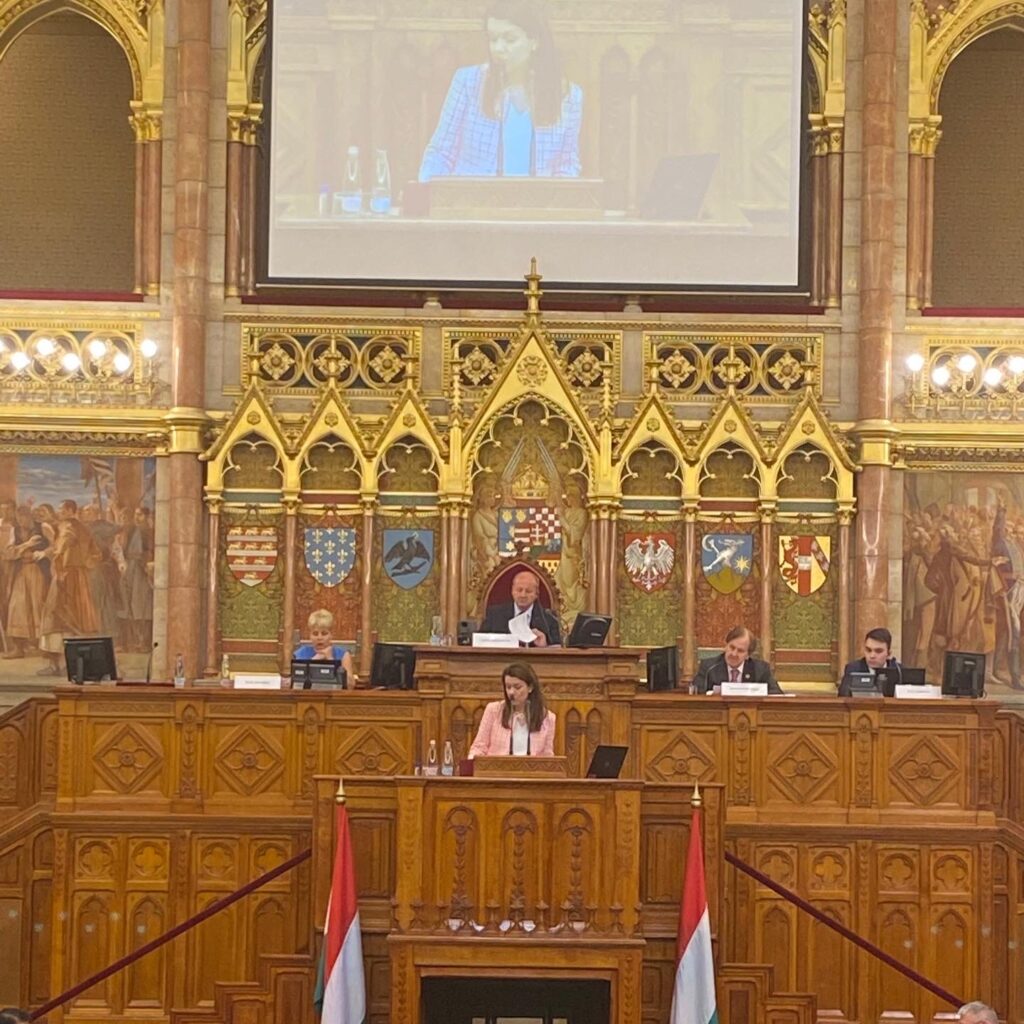Anne at the Hungarian Parliament