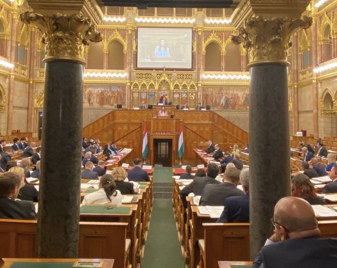 Anne Basham at an international parliament