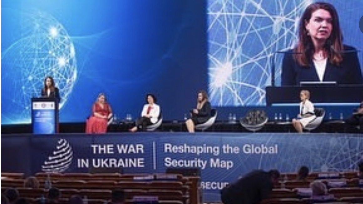 Anne Basham on an international security panel
